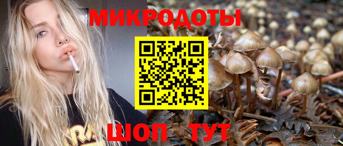 Псилоцибиновые грибы MAGIC MUSHROOMS Прохладный