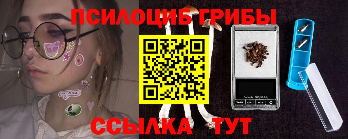 как найти   Вход с VPN  Прохладный  Псилоцибиновые грибы Magic Shrooms 